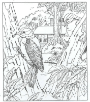 A coloring page of nature in the backyard